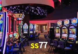 Security Systems ss77
